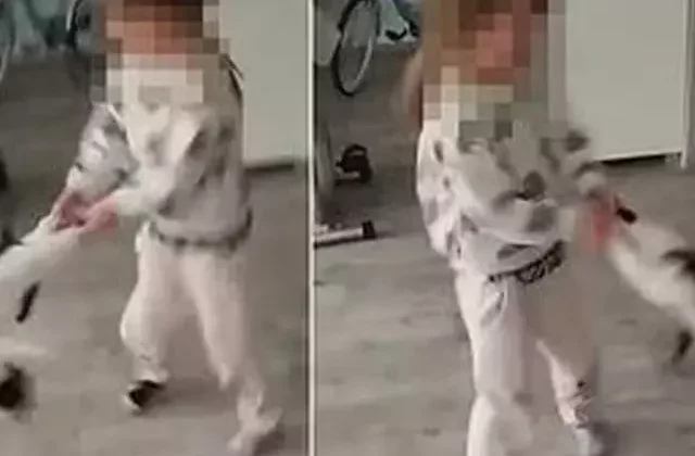 Küçük kız kediye işkence yaptı, annesi gülerek kayda aldı