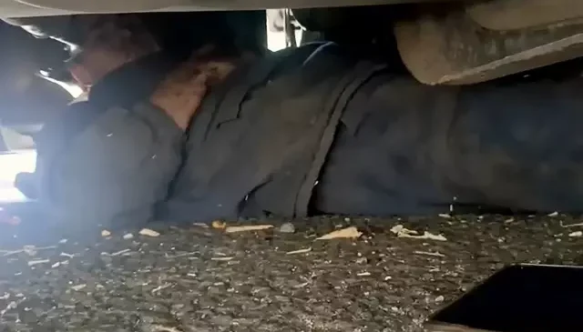 Tırın altında birinin olduğunu görenler ihbar etti, gerçek bambaşka çıktı