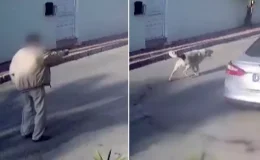 Yaşlı adam kendisine saldıran köpeği vurarak öldürdü