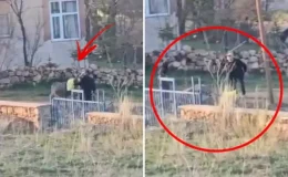 80 yaşındaki adam başına çuval geçirdiği eşeğe sopayla eziyet etti