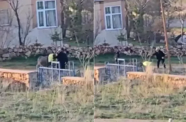 80 yaşındaki adamın sopayla dövdüğü eşek öldü