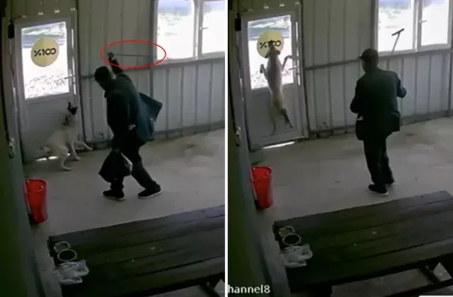 81 yaşındaki adam köpeği bastonuyla acımasızca dövdü