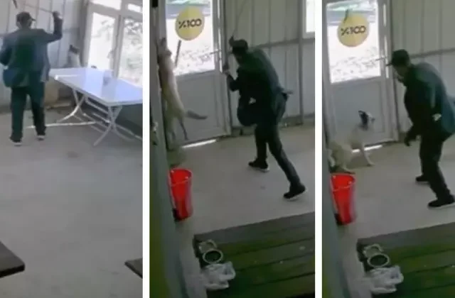 81 yaşındaki adam köy kahvesinde bakılan köpeğe dehşeti yaşattı
