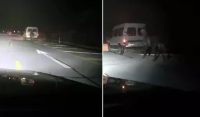 Atları kamyonetin arkasına bağlayıp koşturdu