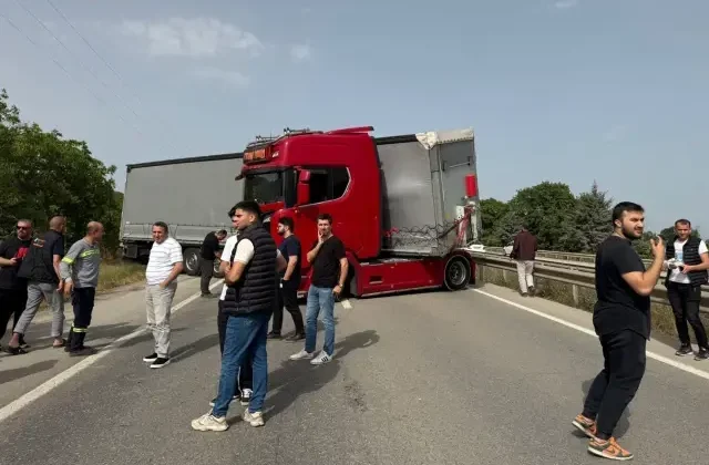 Bir arı trafiği birbirine kattı