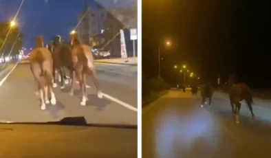Bir dönem Türkiye’nin en zengin iş insanıydı! Çiftliğindeki yarış atları kaçtı