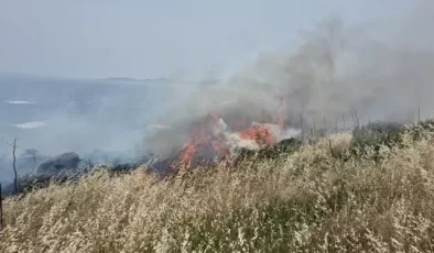 Bodrum’da 5 hektarlık alan kül oldu