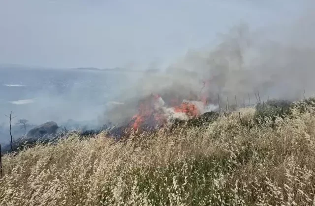 Bodrum’da 5 hektarlık alan kül oldu