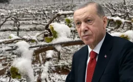 “Bu yıl sıkıntı yaşayacağız” diyen Cumhurbaşkanı Erdoğan, o ürünleri tek tek saydı