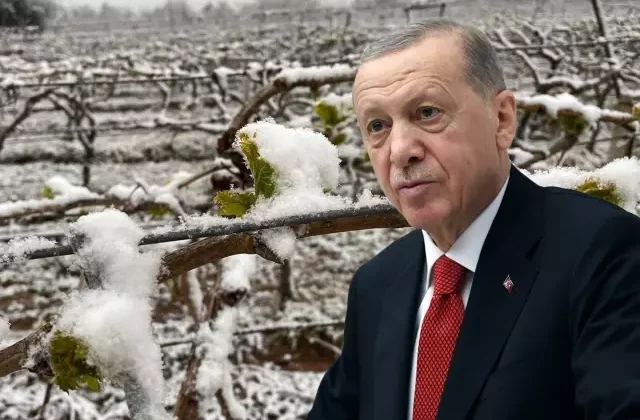 “Bu yıl sıkıntı yaşayacağız” diyen Cumhurbaşkanı Erdoğan, o ürünleri tek tek saydı