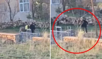 Bunu yapan 80 yaşındaki bir şahıs! Eşeğe sopalı eziyet kamerada