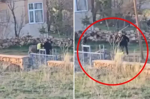 Bunu yapan 80 yaşındaki bir şahıs! Eşeğe sopalı eziyet kamerada