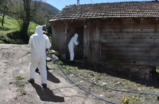 Bursa’da 3 mahallenin kabusu oldular: Yok etmek imkansız