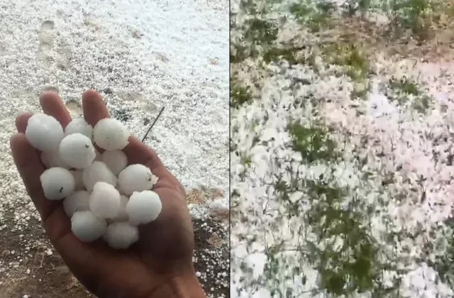 Ceviz büyüklüğünde dolu yağdı, meyve ağaçlarında yaprak kalmadı