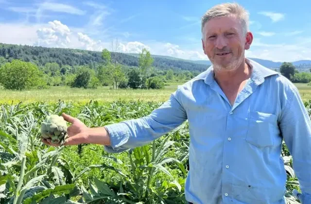 Çiftçinin 1 yıllık emeği 1 gecede gitti