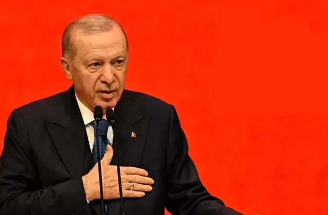 Cumhurbaşkanı Erdoğan: Eline bir mikrofon alan kendini gazeteci sanıyor
