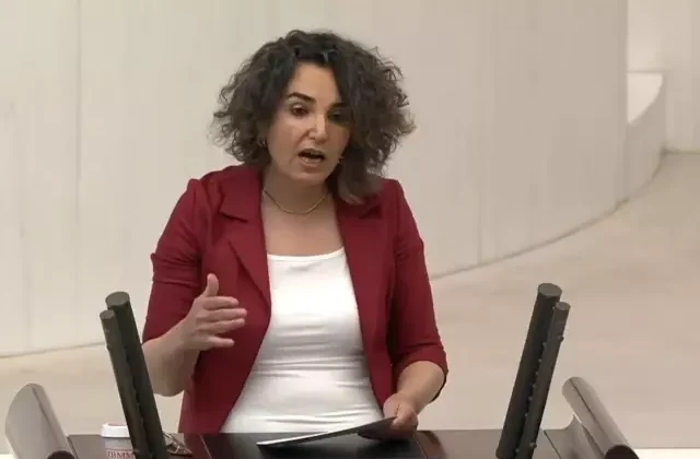 DEM Partili Çiçek Otlu’nun translarla ilgili önerisi büyük tartışma yarattı