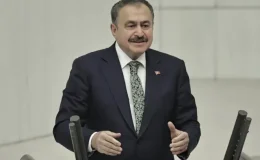 Eski Bakan Veysel Eroğlu, Irak Cumhuriyeti Özel Temsilcisi oldu