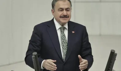 Eski Bakan Veysel Eroğlu, Irak Cumhuriyeti Özel Temsilcisi oldu