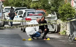 Eski sevgilisini ve kardeşini silahla vurdu, yakınları tarafından darbedildi