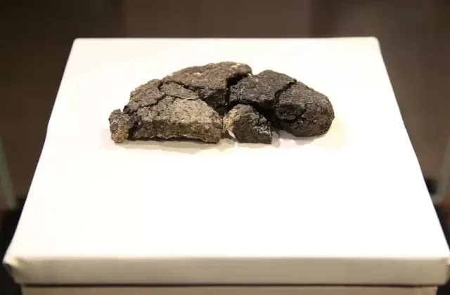 Eskişehir’de bulunan 5 bin yıllık ekmek aynı tarifle yeniden üretildi