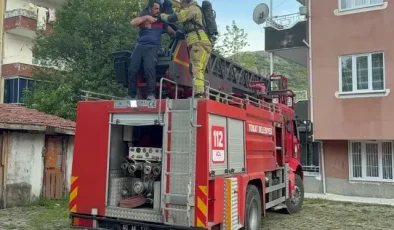 Fareleri kaçırmak için yaptıkları plan, tüm mahalleyi zehirliyordu