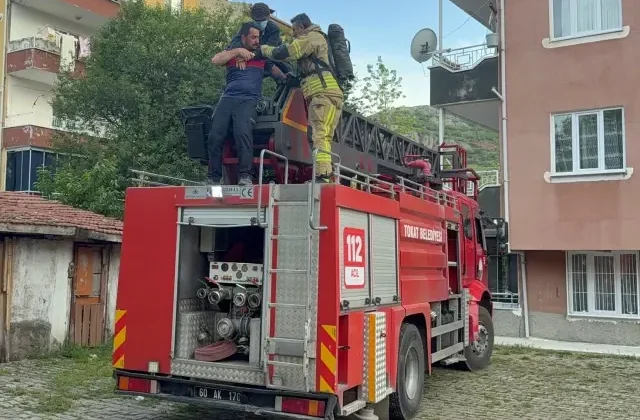 Fareleri kaçırmak için yaptıkları plan, tüm mahalleyi zehirliyordu