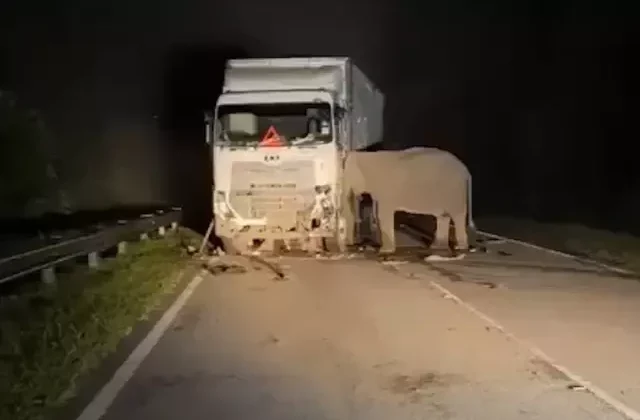 Gecenin karanlığında kahreden görüntü