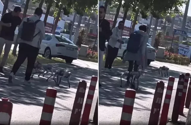 Görüntü İstanbul’dan! Tasma taktıkları robot köpekleri sokakta gezdirdiler