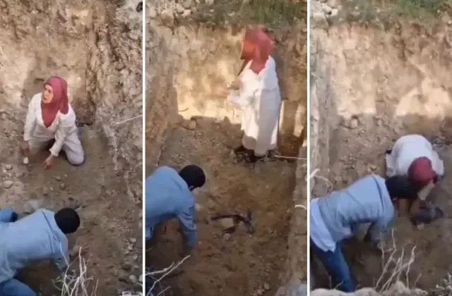 Görüntü Türkiye’den! Hastalıktan ve kuduzdan ölen köpeklerin mezarlarını açmaya kalktılar