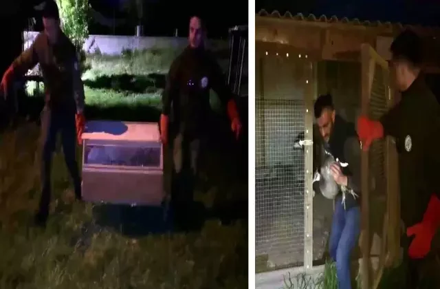 Hayvanat bahçesi gibi ev: Evinden çıkanlar hayrete düşürdü