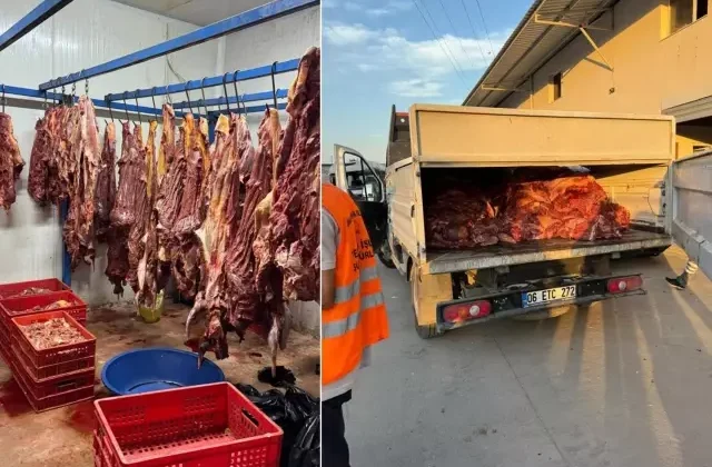 Hepsini vatandaşa yedireceklerdi! Tam 3 ton bozulmuş tek tırnaklı eti ele geçirildi