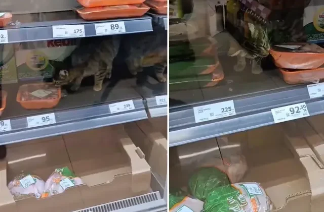 İnsan hayatı bu kadar ucuz mu? Zincir markette çekilen görüntüye bakın