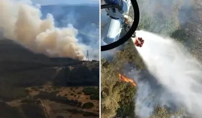 İzmir Aliağa’da orman yangını! Alevlere müdahale devam ediyor