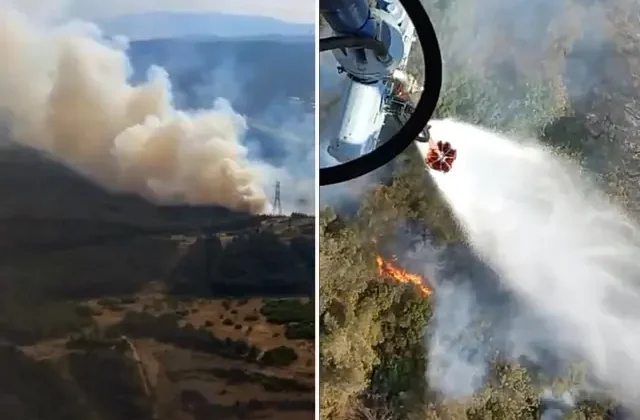 İzmir Aliağa’da orman yangını! Alevlere müdahale devam ediyor