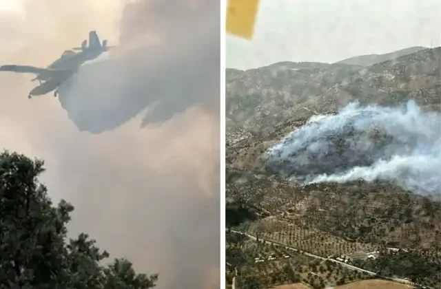 İzmir’de zeytinlik alanda yangın! Kontrol altına alındı