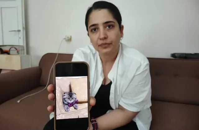 Kayıp kedisi için 15 bin lira ödül koydu: Bulamazsam eşim beni boşayacak