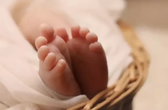 Kenenin ısırdığı bebek hayatını kaybetti