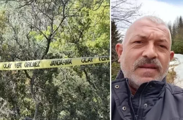 Kestiği ağaç sonu oldu