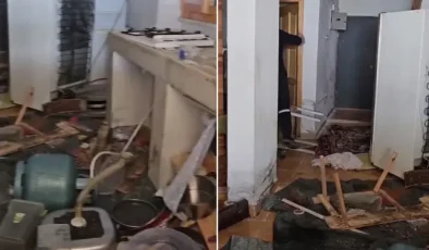 Kış uykusundan uyanan ayılar belediye başkanının evini bastı