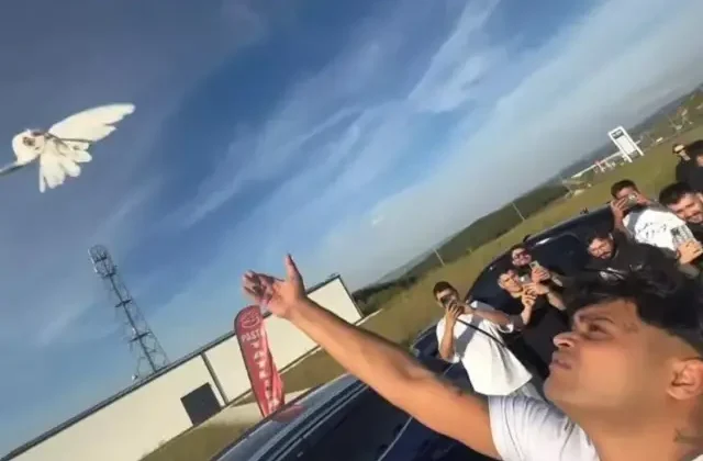 Rapçi Süleyman Burak Bodur tahliye edildi, ilk işi güvercin uçurmak oldu