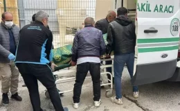 Sivas’ta 2 çocuk annesi keneden öldü