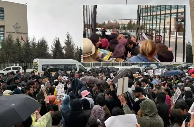 Sokak hayvanları kararı sonrası hayvanseverler AYM’nin kapısına dayandı