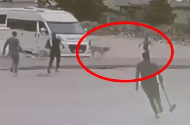 Sokak köpeklerinin saldırdığı çocuğu esnaf son anda kurtardı