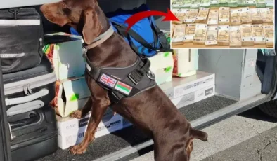 Tıra gizlenen 15 milyon lira dedektör köpekten kaçamadı