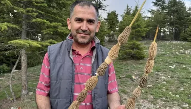 Toplaması tutku, kilosu 900 lira! Altın bulan bu kadar sevinmiyor