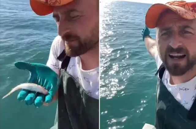 “Uzun ömrün olsun” diyerek balığı denize attı, bakın sonra ne yaşandı
