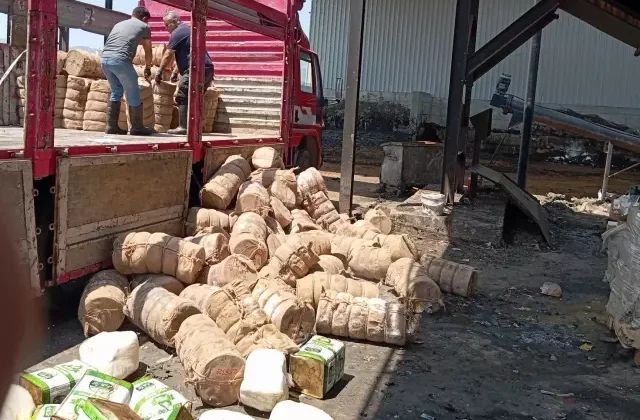 Yakalanmasalar vatandaşa yedireceklerdi! 7 ton bozulmuş peynir imha edildi