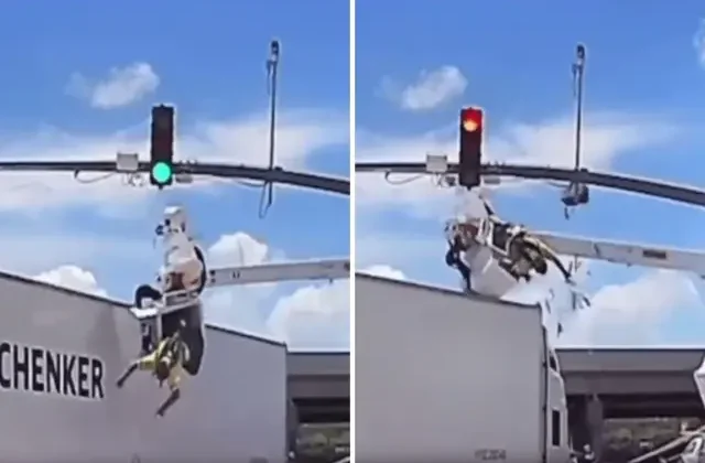 18 tekerlekli tır, trafik ışıklarının bakımını yapan işçiye çarptı