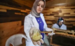 4 arkadaş eşleriyle ürettikleri arı sütünü kilosu 45 bin liradan satıyor